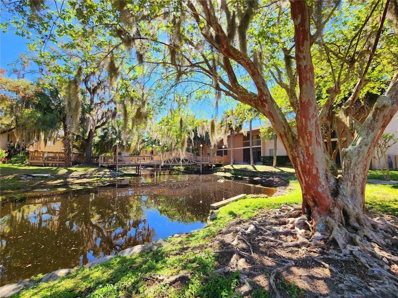 7604 Abbey Lane, Unit 214, Tampa, FL 33617 Photo