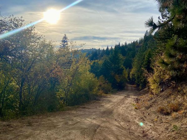 896 Rocky Mountain Rd, Newport, WA 99156