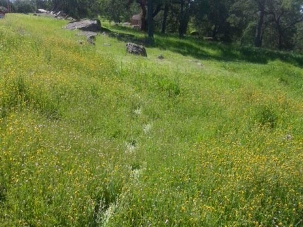 56 56 Deer Hollow Trail, Browns Valley, CA 95918