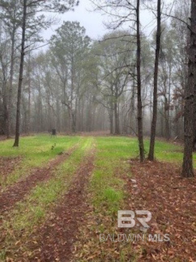 0 W Eastward Road, Jackson, AL 36545 Main Photo