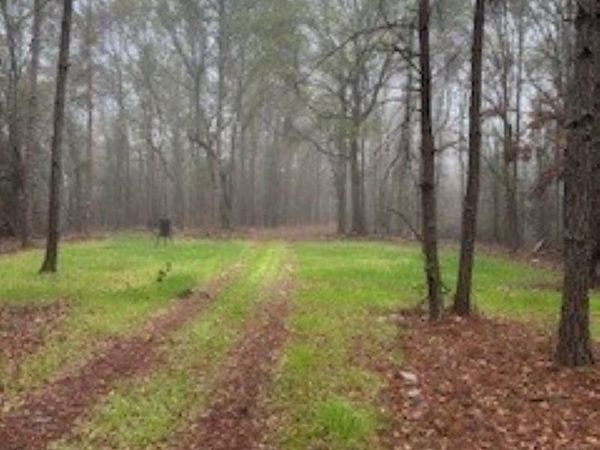 0 W Eastward Road, Jackson, AL 36545