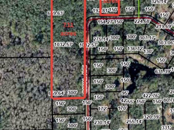 TBD OFF RIVERVIEW ROAD , FANNING SPRINGS, FL 32693