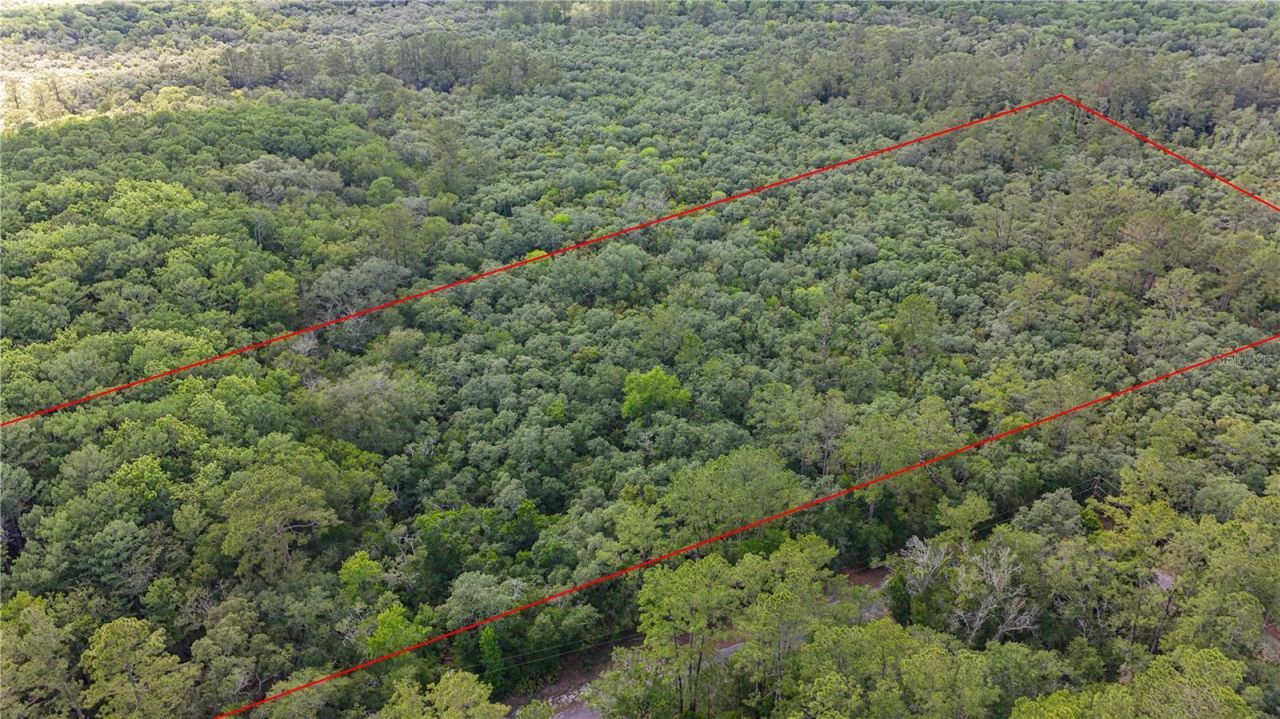 Tbd Off Riverview Road, Lot #9, Fanning Springs, FL 32693 Photo