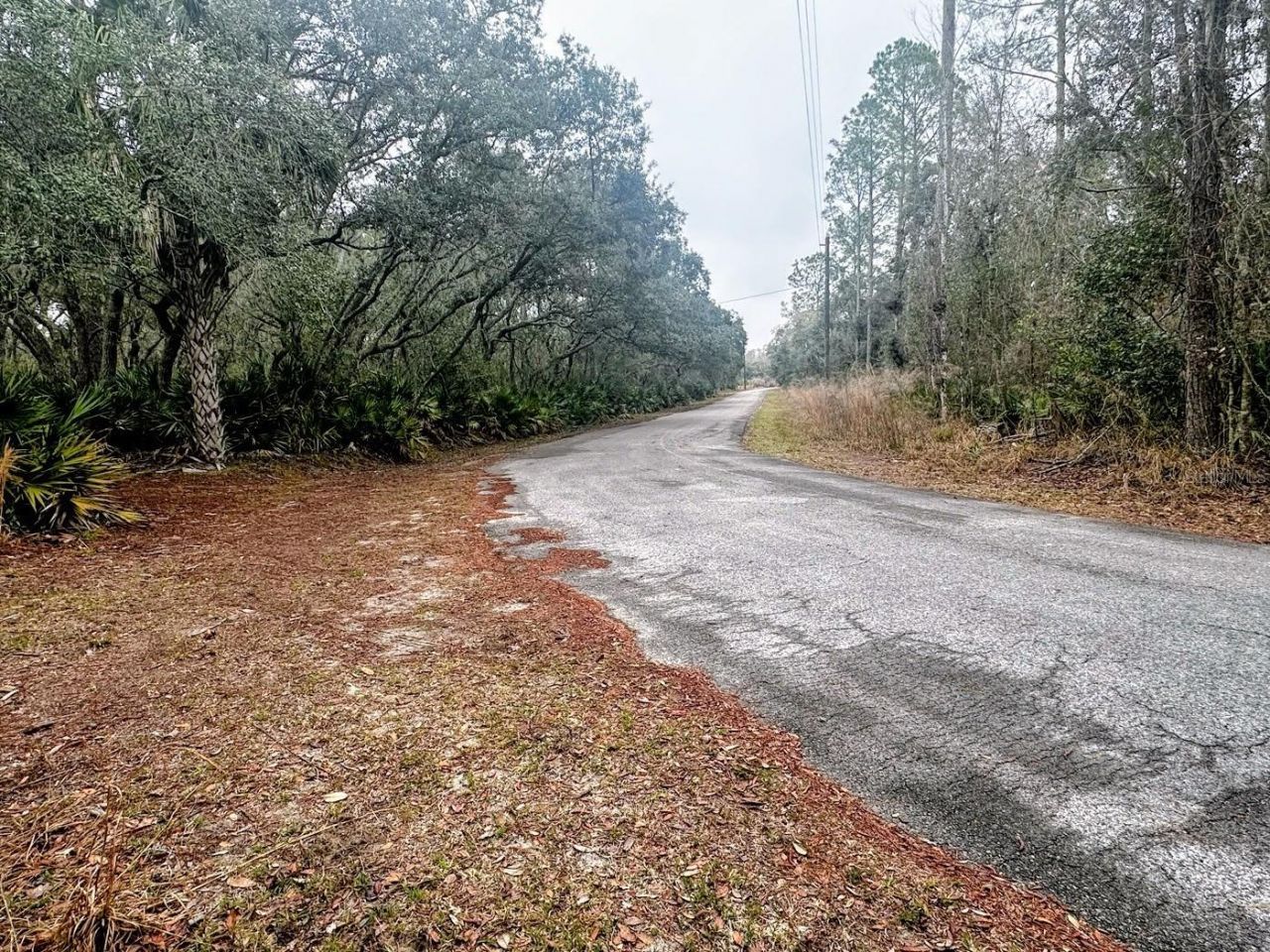 Tbd Off Riverview Road , Fanning Springs, FL 32693 Photo