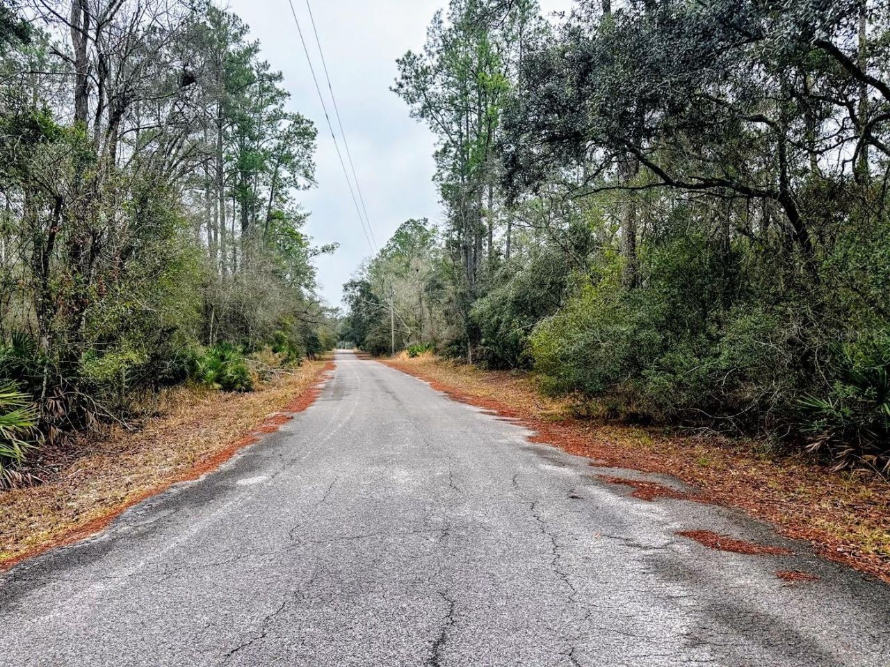 Tbd Off Riverview Road , Fanning Springs, FL 32693 Photo