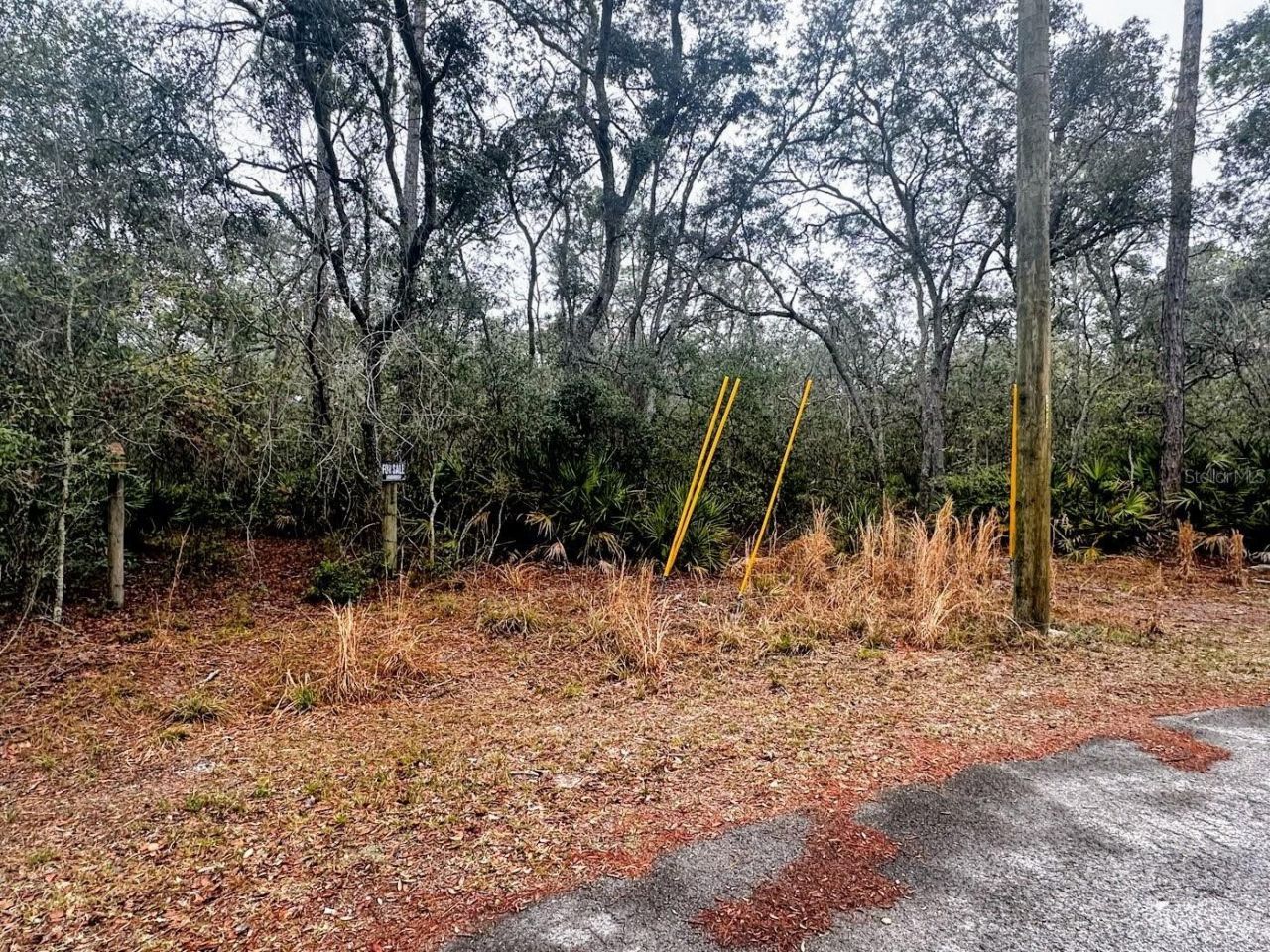 Tbd Off Riverview Road, Lot #9, Fanning Springs, FL 32693 Photo