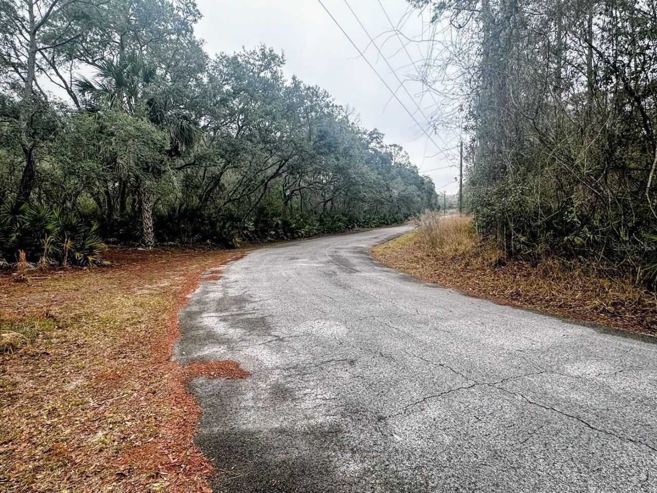 Tbd Off Riverview Road, Lot #9, Fanning Springs, FL 32693 Photo