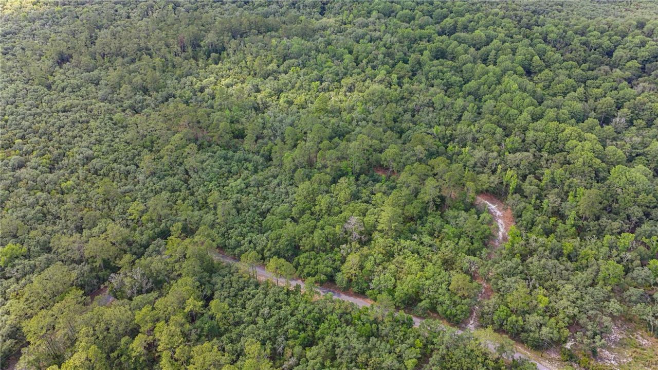 Tbd Off Riverview Road, Lot #9, Fanning Springs, FL 32693 Photo
