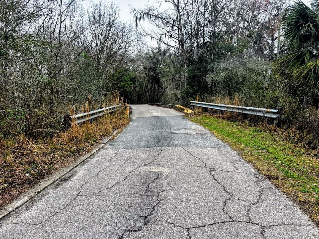 Tbd Off Riverview Road, Fanning Springs, FL 32693 Photo