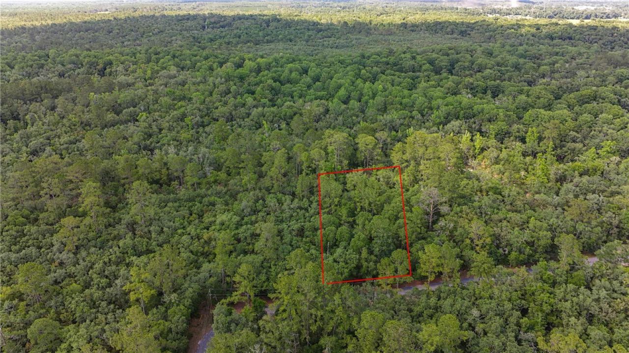 Tbd Off Riverview Road, Lot #9, Fanning Springs, FL 32693 Photo