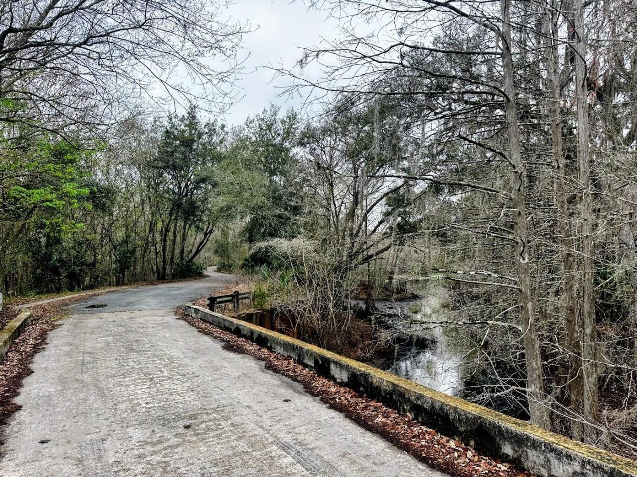 Tbd Off Riverview Road , Fanning Springs, FL 32693 Photo