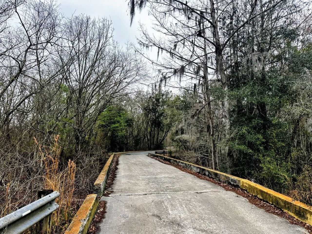 Tbd Off Riverview Road , Fanning Springs, FL 32693 Photo