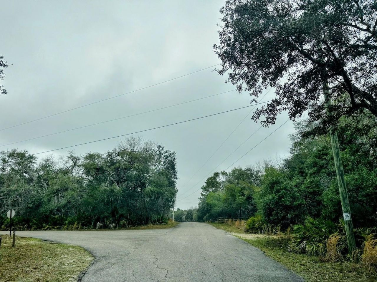 Tbd Off Riverview Road , Fanning Springs, FL 32693 Photo