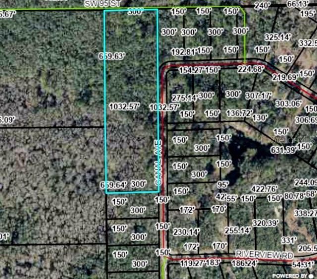 Tbd Off Riverview Road , Fanning Springs, FL 32693 Photo