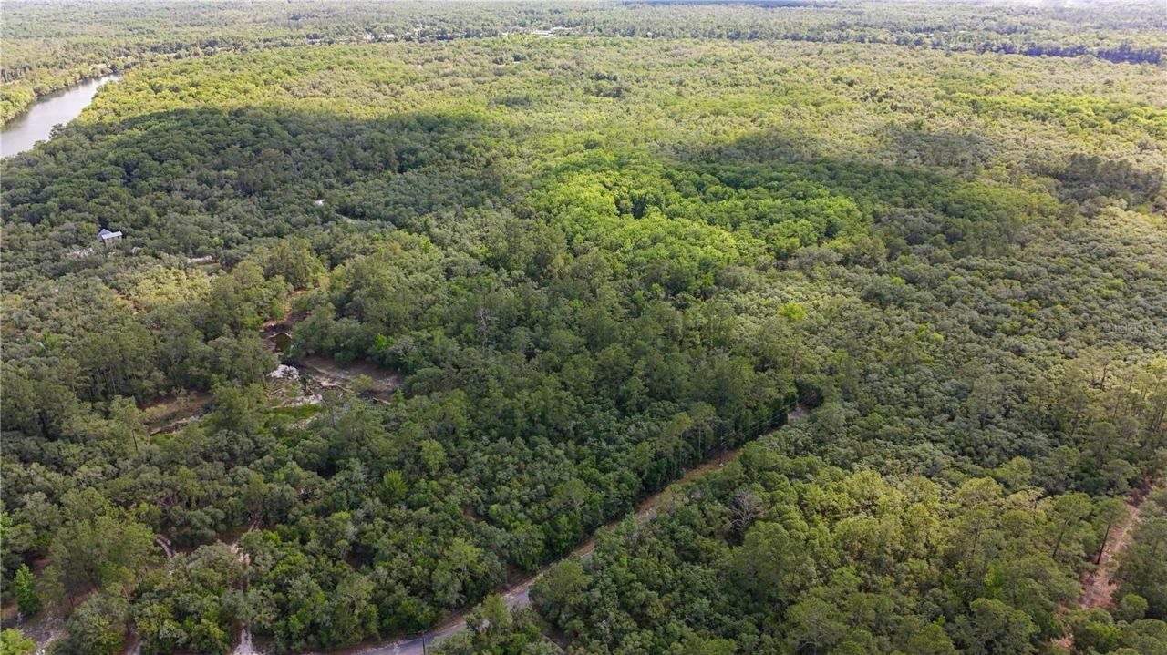 Tbd Off Riverview Road, Lot #9, Fanning Springs, FL 32693 Photo