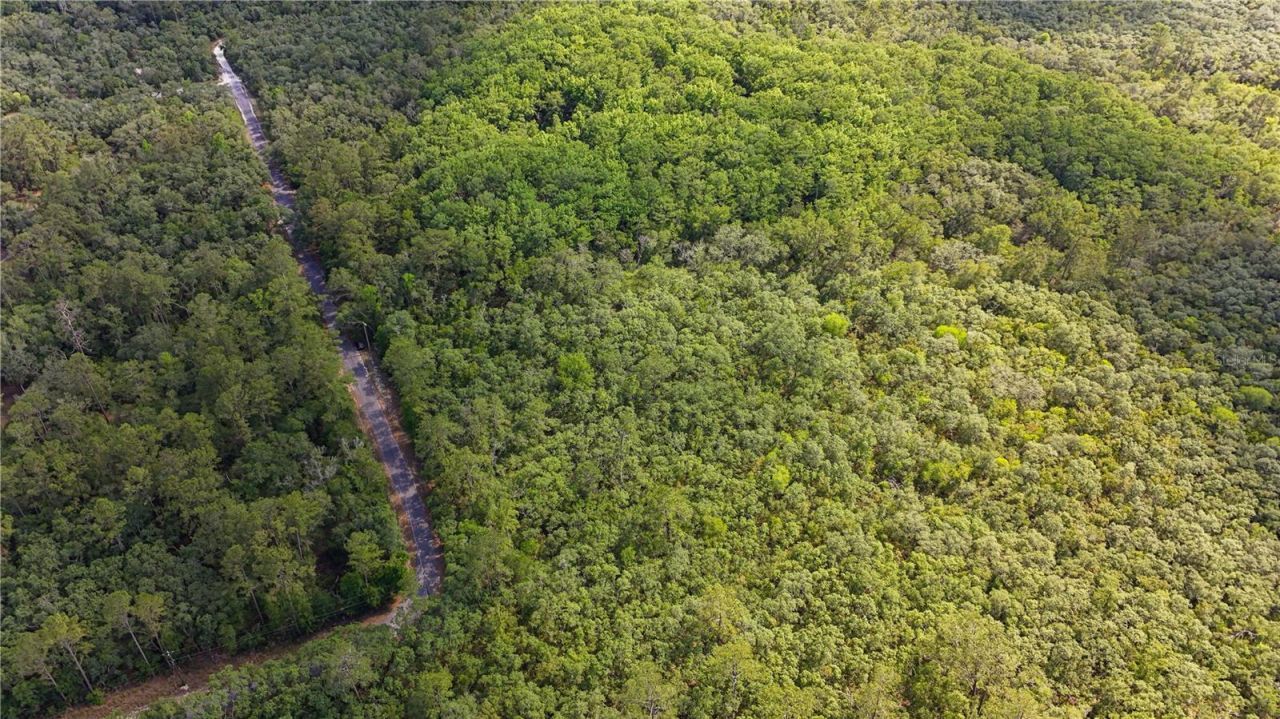Tbd Off Riverview Road, Lot #9, Fanning Springs, FL 32693 Photo