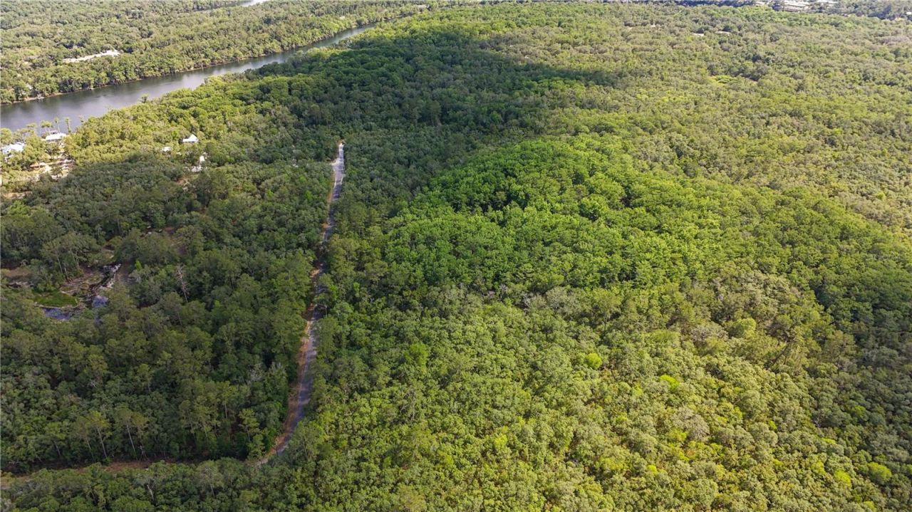 Tbd Off Riverview Road, Lot #9, Fanning Springs, FL 32693 Photo