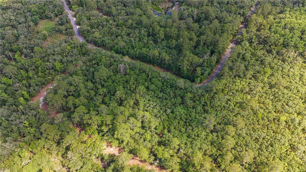 Tbd Off Riverview Road, Lot #9, Fanning Springs, FL 32693 Photo