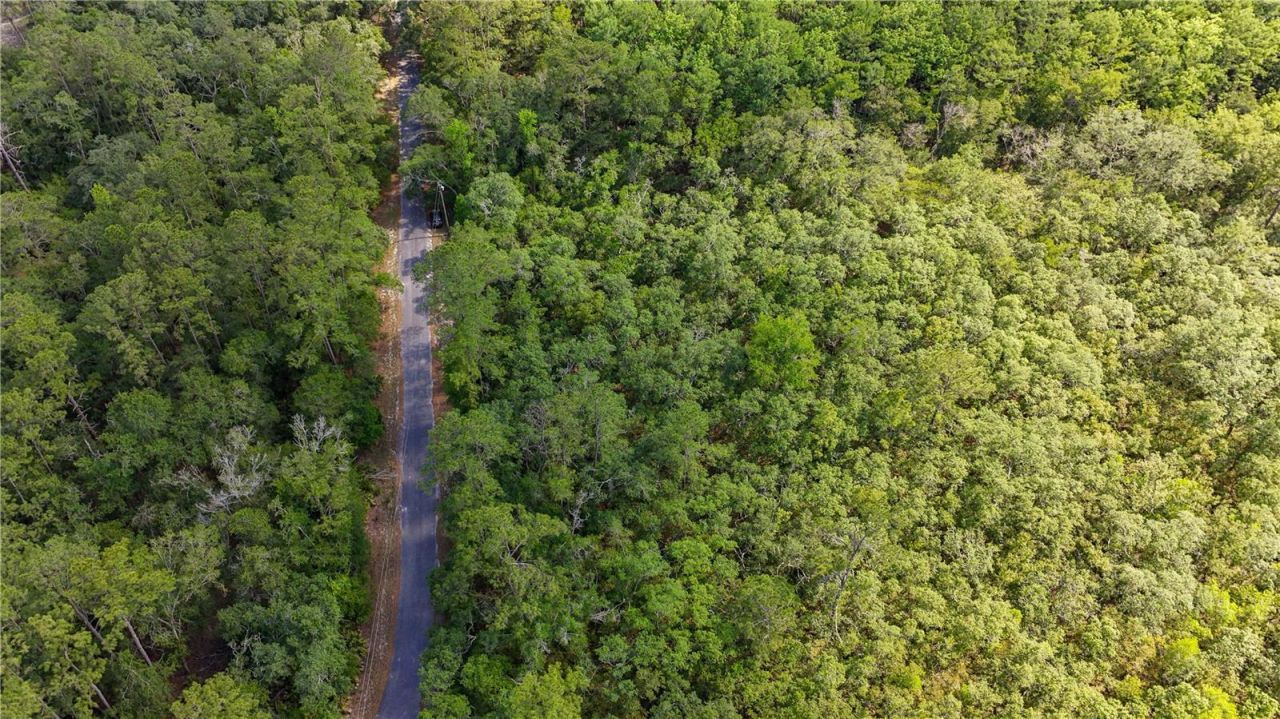 Tbd Off Riverview Road, Lot #9, Fanning Springs, FL 32693 Photo