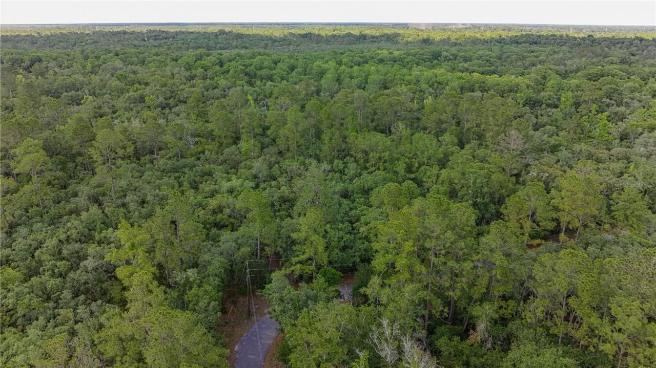 Tbd Off Riverview Road, Lot #9, Fanning Springs, FL 32693 Photo