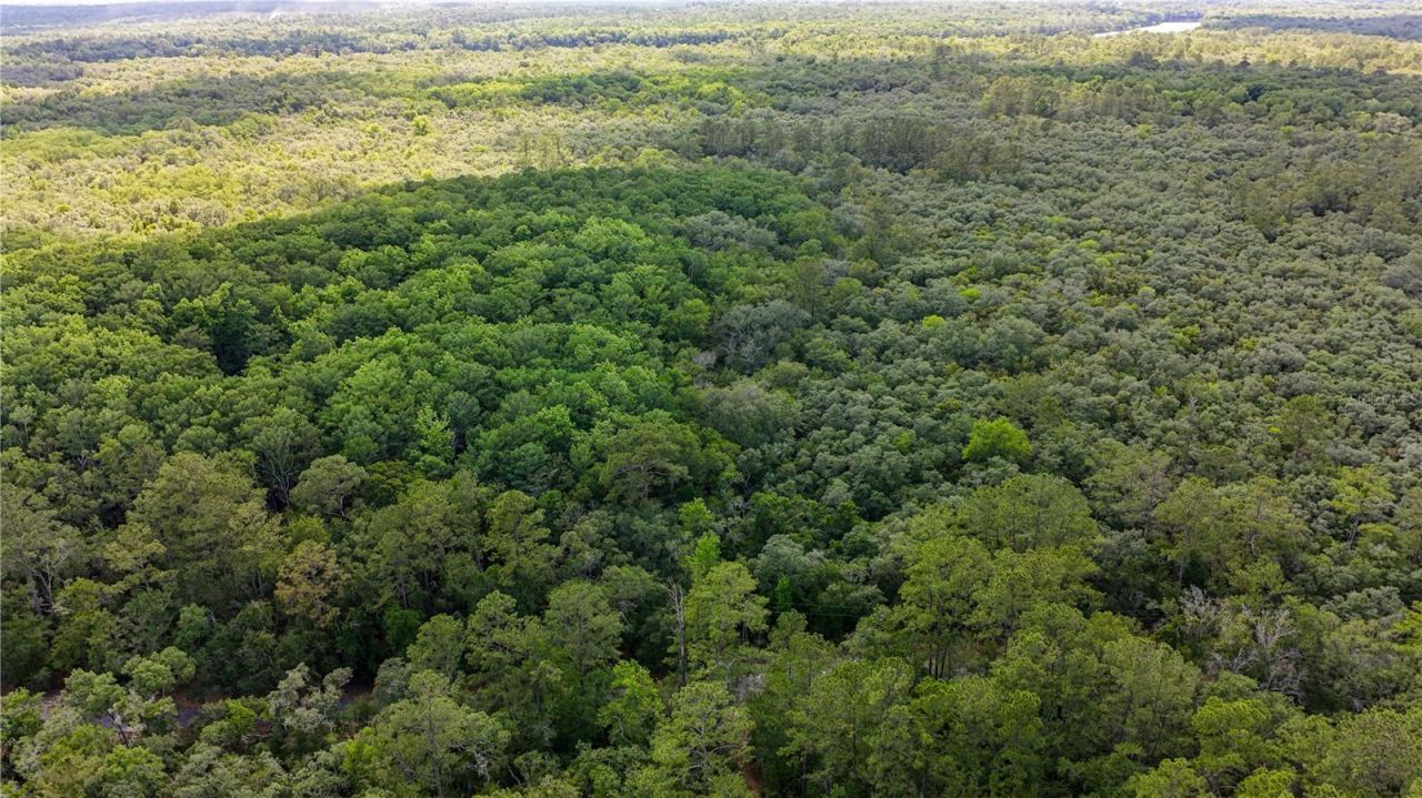 Tbd Off Riverview Road, Lot #9, Fanning Springs, FL 32693 Photo