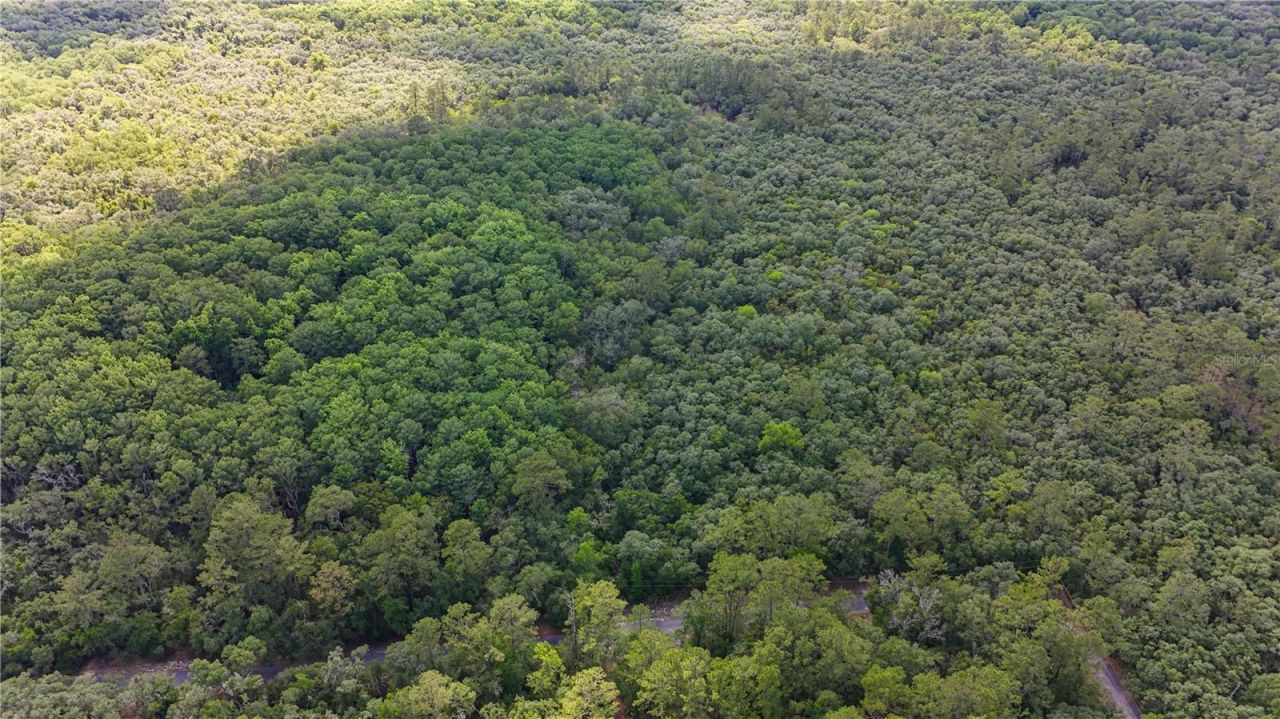 Tbd Off Riverview Road, Lot #9, Fanning Springs, FL 32693 Photo