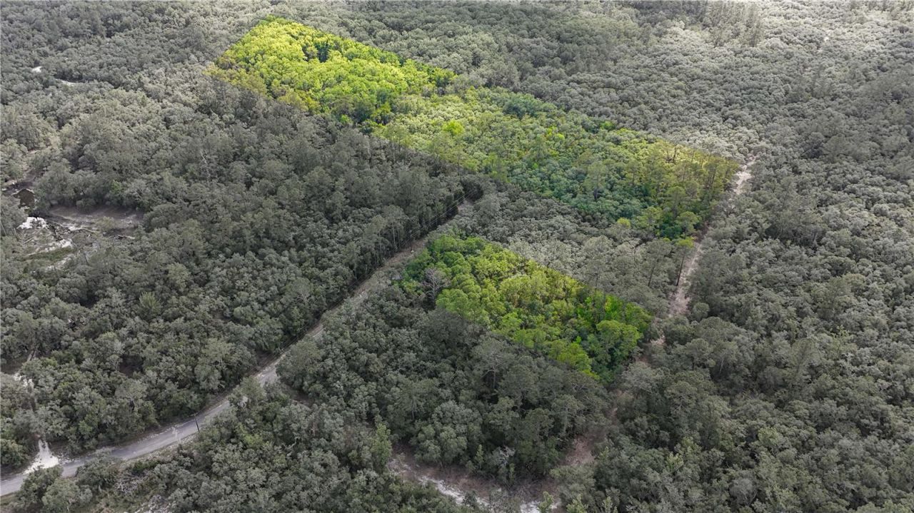 Tbd Off Riverview Road, Lot #9, Fanning Springs, FL 32693 Photo