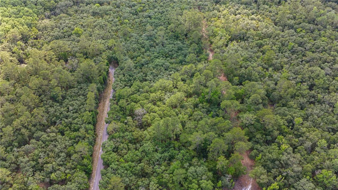 Tbd Off Riverview Road, Lot #9, Fanning Springs, FL 32693 Photo