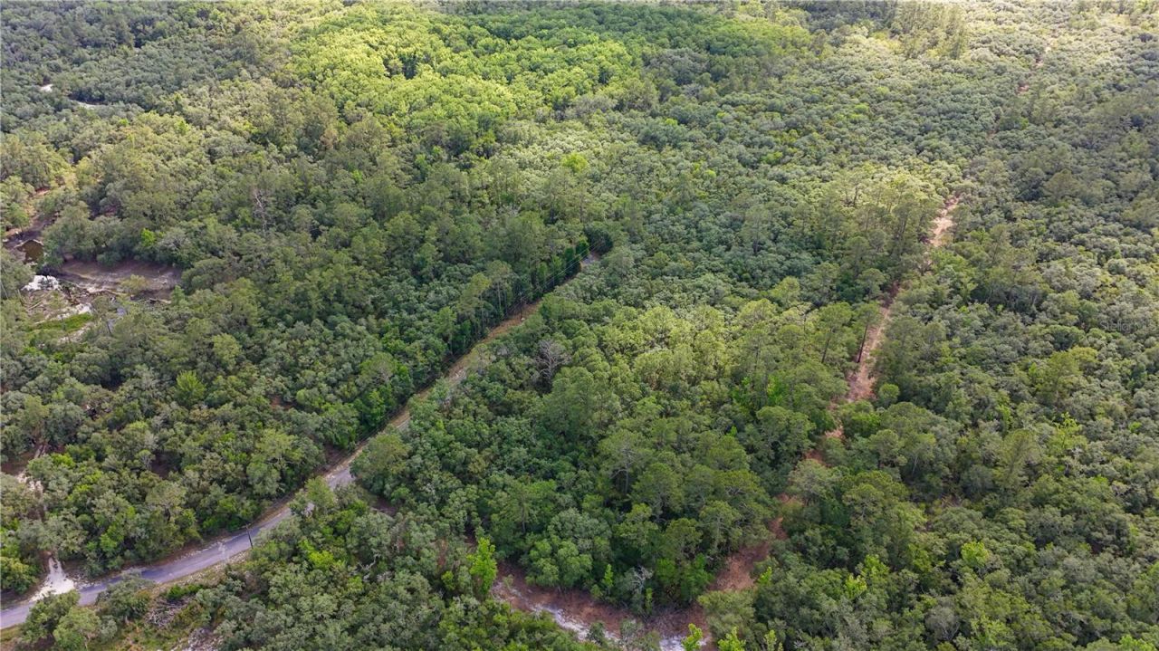 Tbd Off Riverview Road, Lot #9, Fanning Springs, FL 32693 Photo