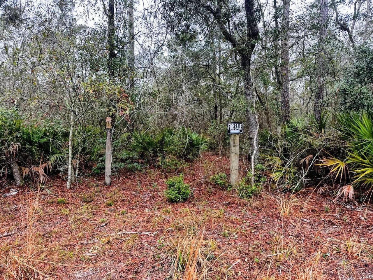 Tbd Off Riverview Road , Fanning Springs, FL 32693 Photo