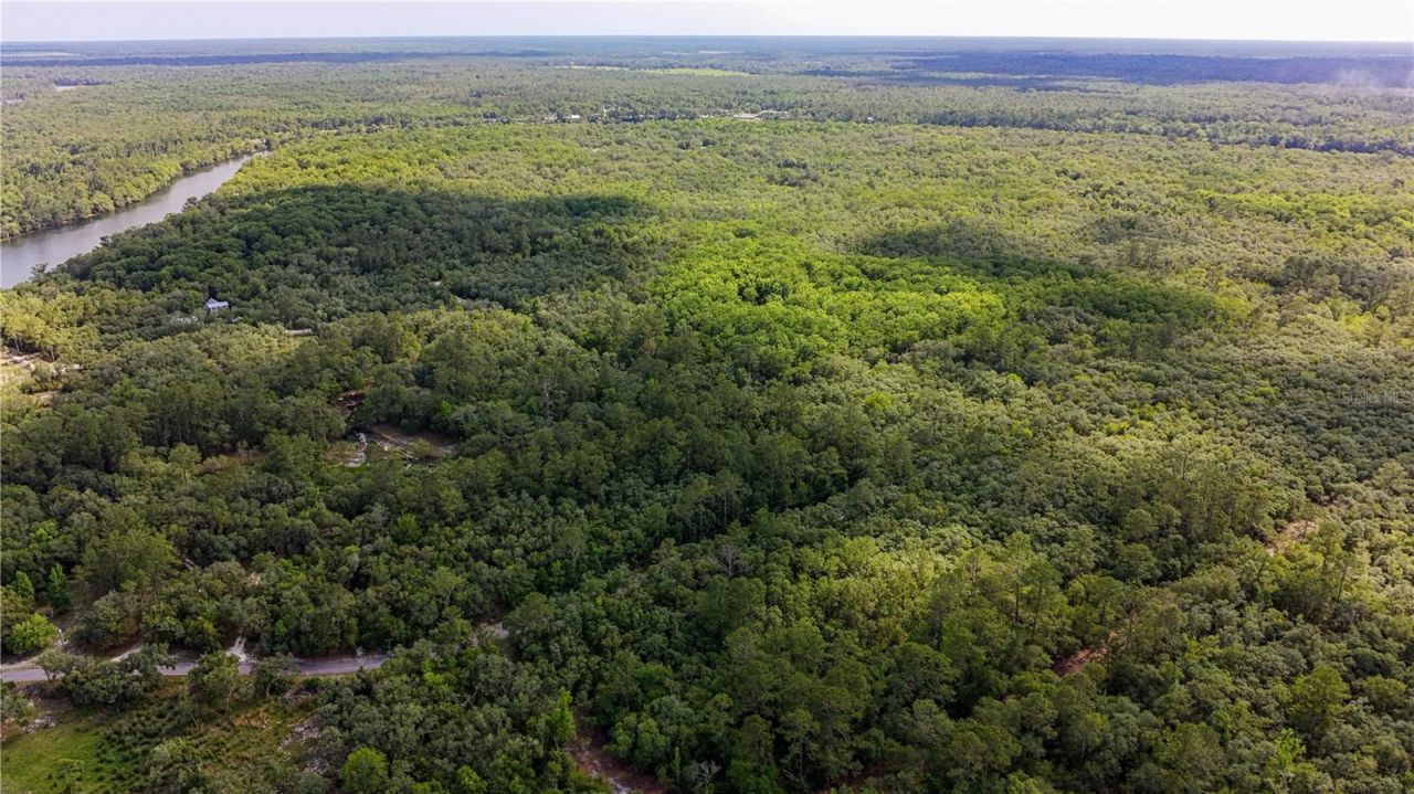 Tbd Off Riverview Road, Lot #9, Fanning Springs, FL 32693 Photo