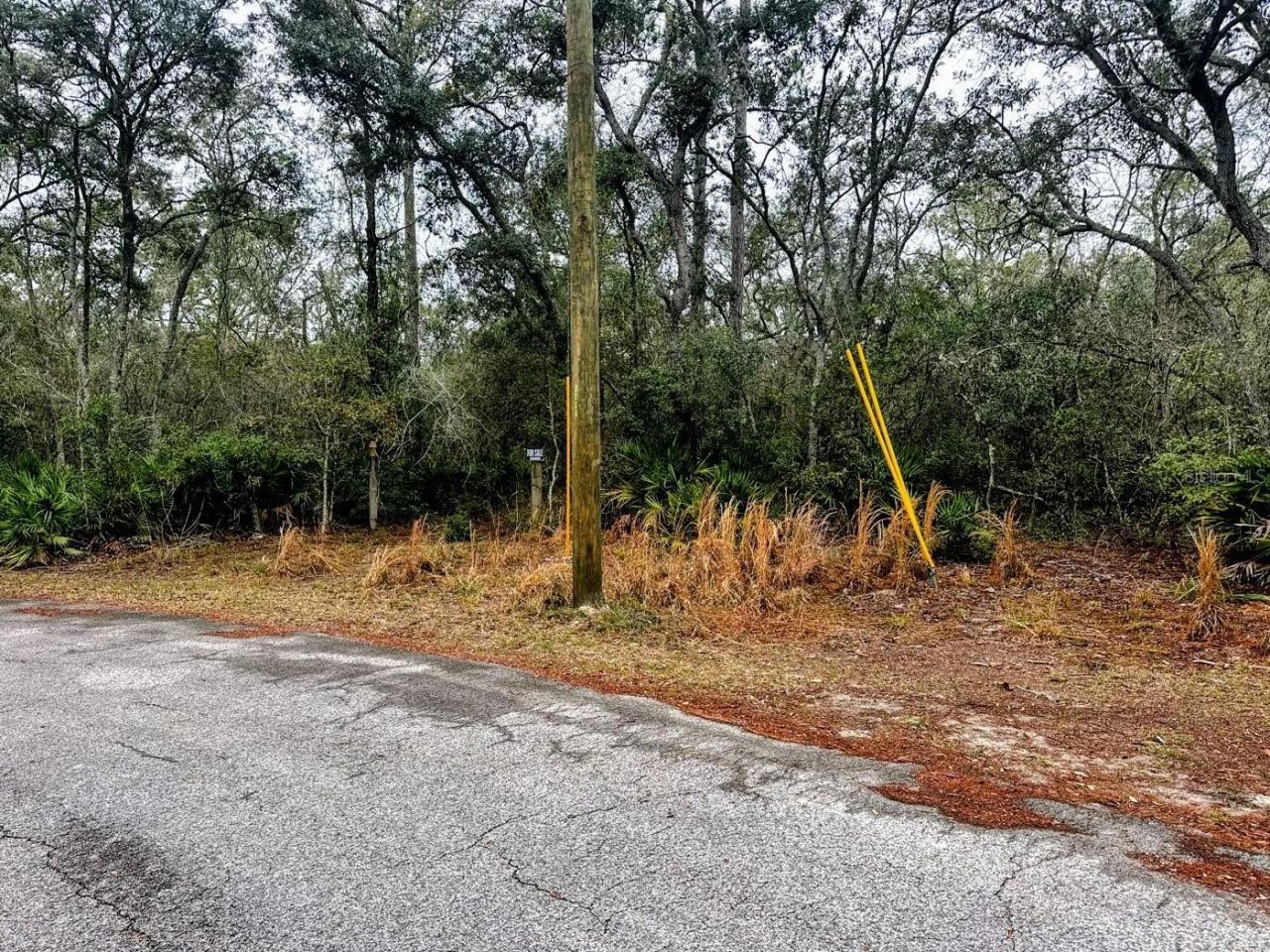 Tbd Off Riverview Road , Fanning Springs, FL 32693 Photo