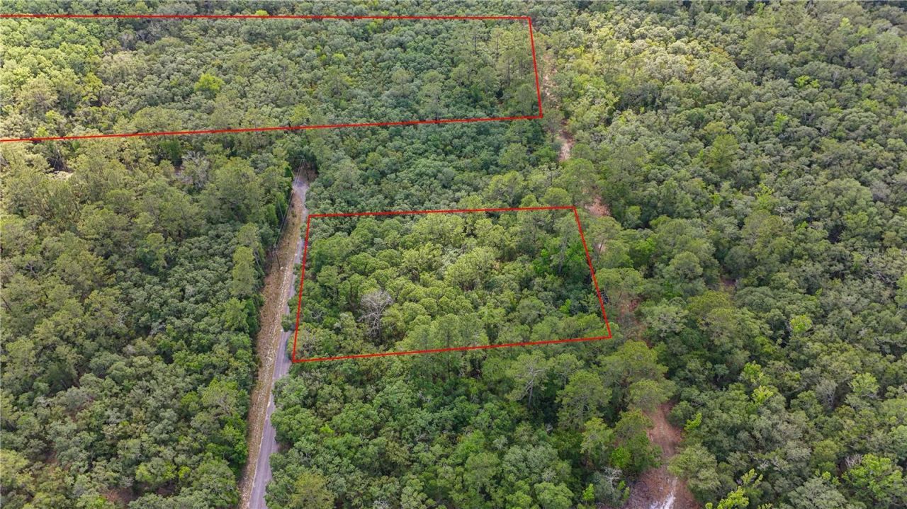 Tbd Off Riverview Road, Lot #9, Fanning Springs, FL 32693 Photo