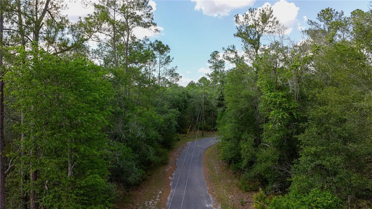 Tbd Off Riverview Road, Lot #9, Fanning Springs, FL 32693 Photo