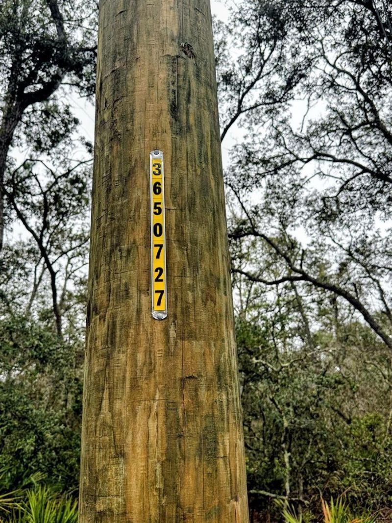 Tbd Off Riverview Road, Fanning Springs, FL 32693 Photo