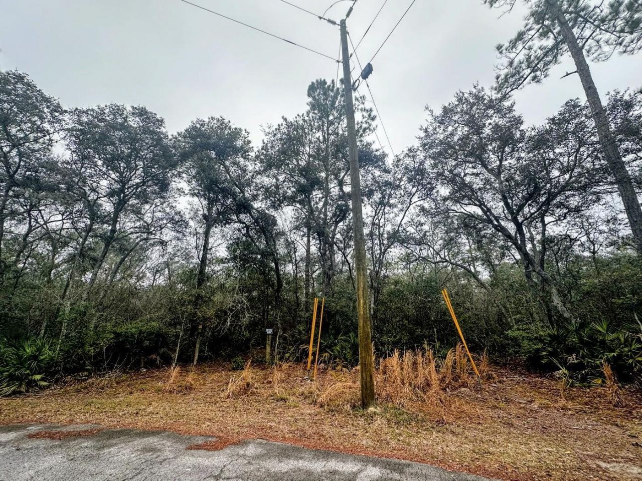 Tbd Off Riverview Road , Fanning Springs, FL 32693 Photo