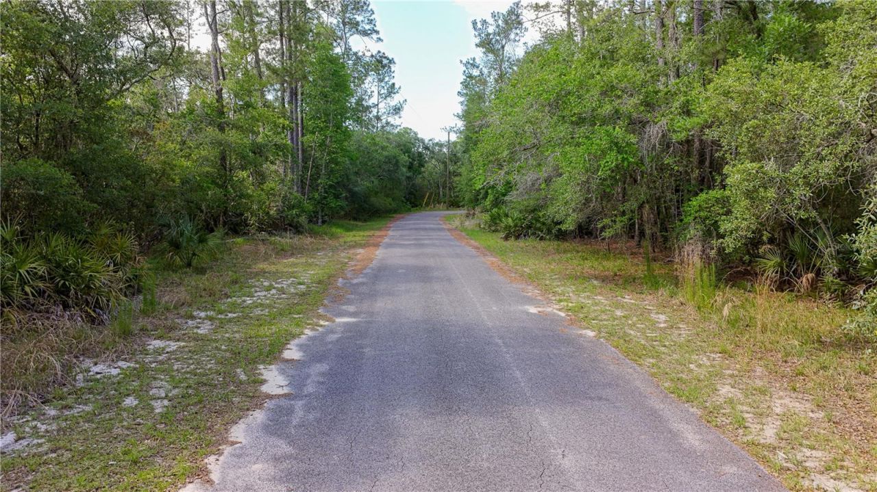 Tbd Off Riverview Road, Lot #9, Fanning Springs, FL 32693 Photo