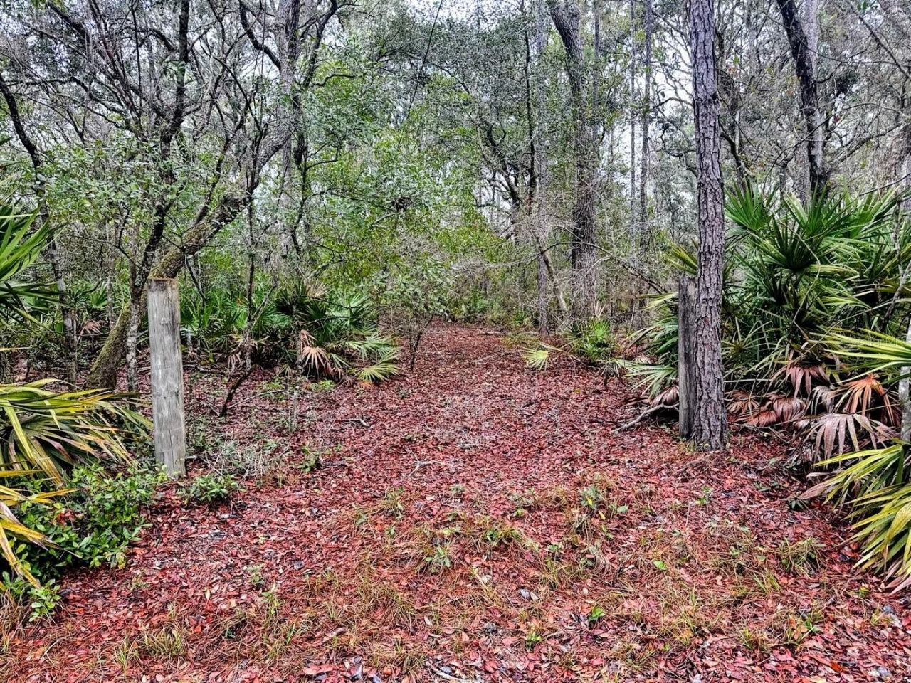 Tbd Off Riverview Road, Fanning Springs, FL 32693 Photo