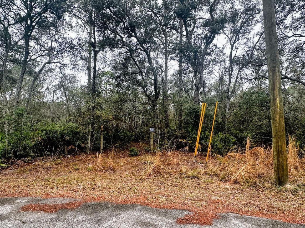 Tbd Off Riverview Road , Fanning Springs, FL 32693 Photo