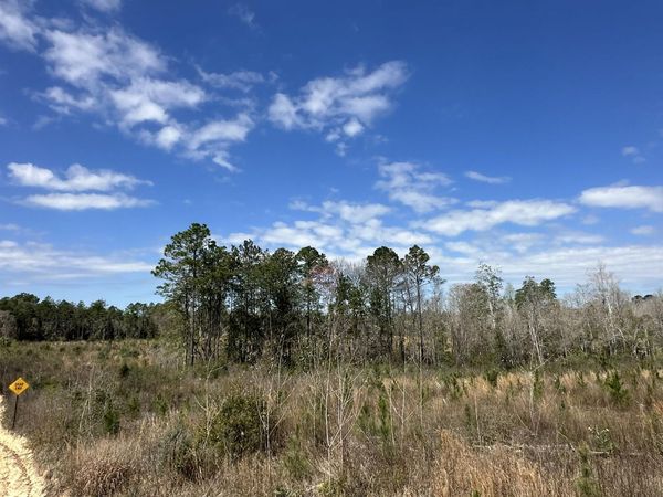 Tract#6409 Davis Road, Unit River Road, Caryville, FL 32427
