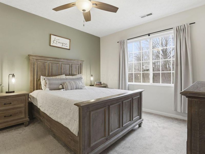 213 Shelbourne Forest Way, Delaware, OH 43015 Photo 14