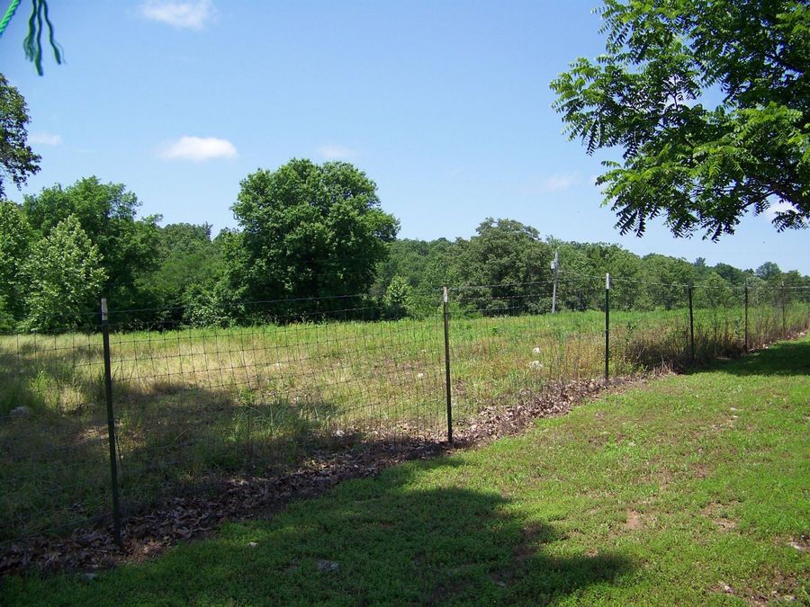 Property Image 61