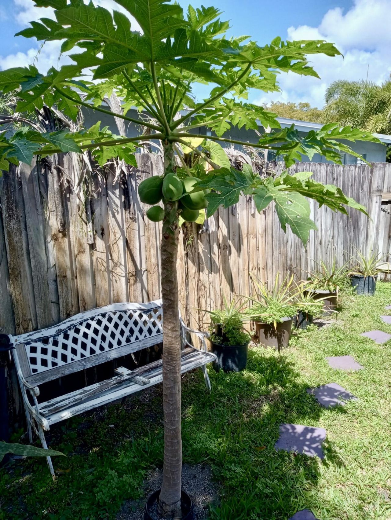 1718 NW 7th Street, Fort Lauderdale, FL 33311 Photo