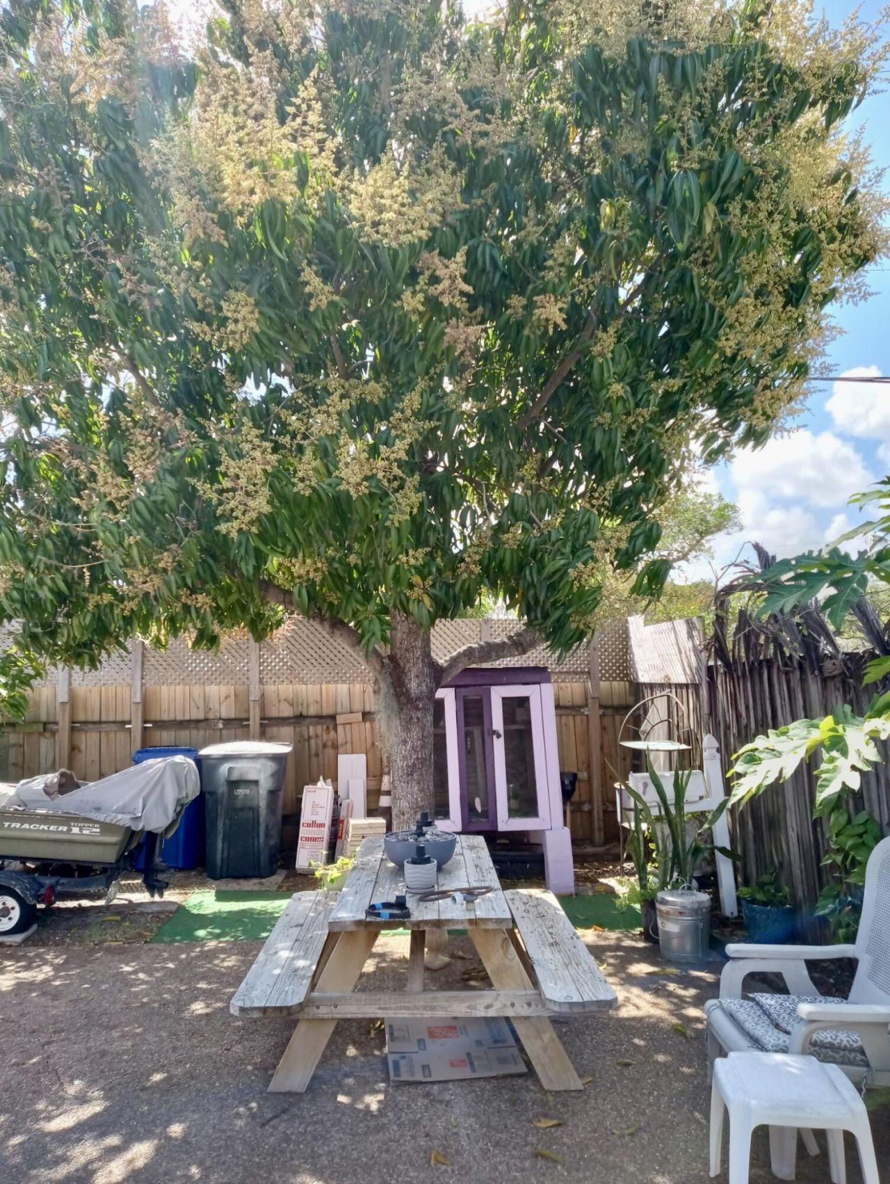 1718 NW 7th Street, Fort Lauderdale, FL 33311 Photo