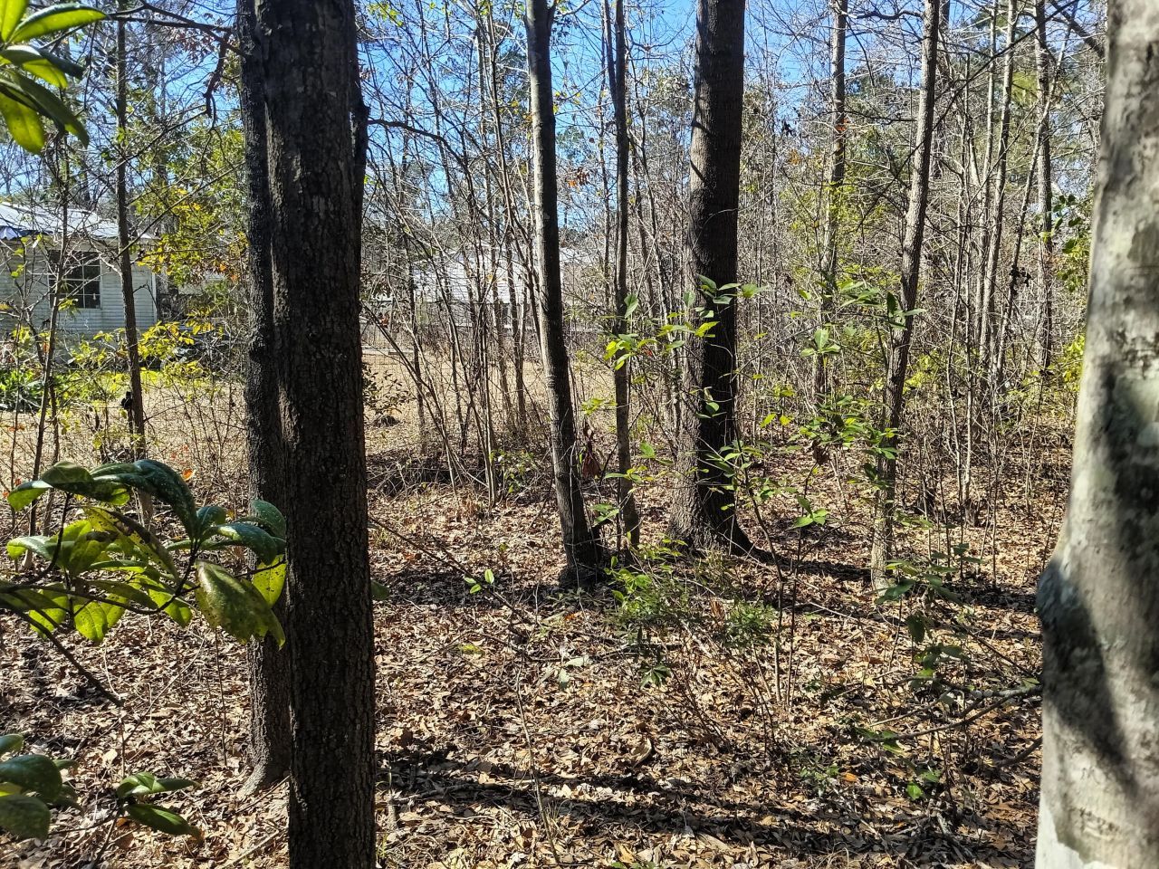 125 Knight Avenue Photo 10