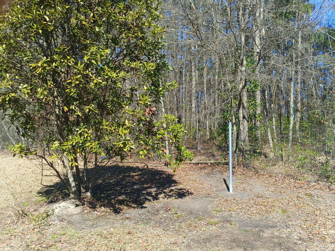 125 Knight Avenue Photo 5