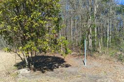 125 Knight Avenue photo 4