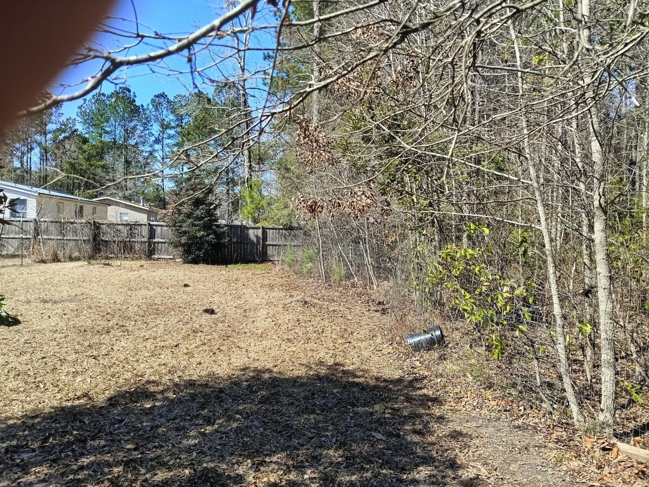 125 Knight Avenue Photo 6