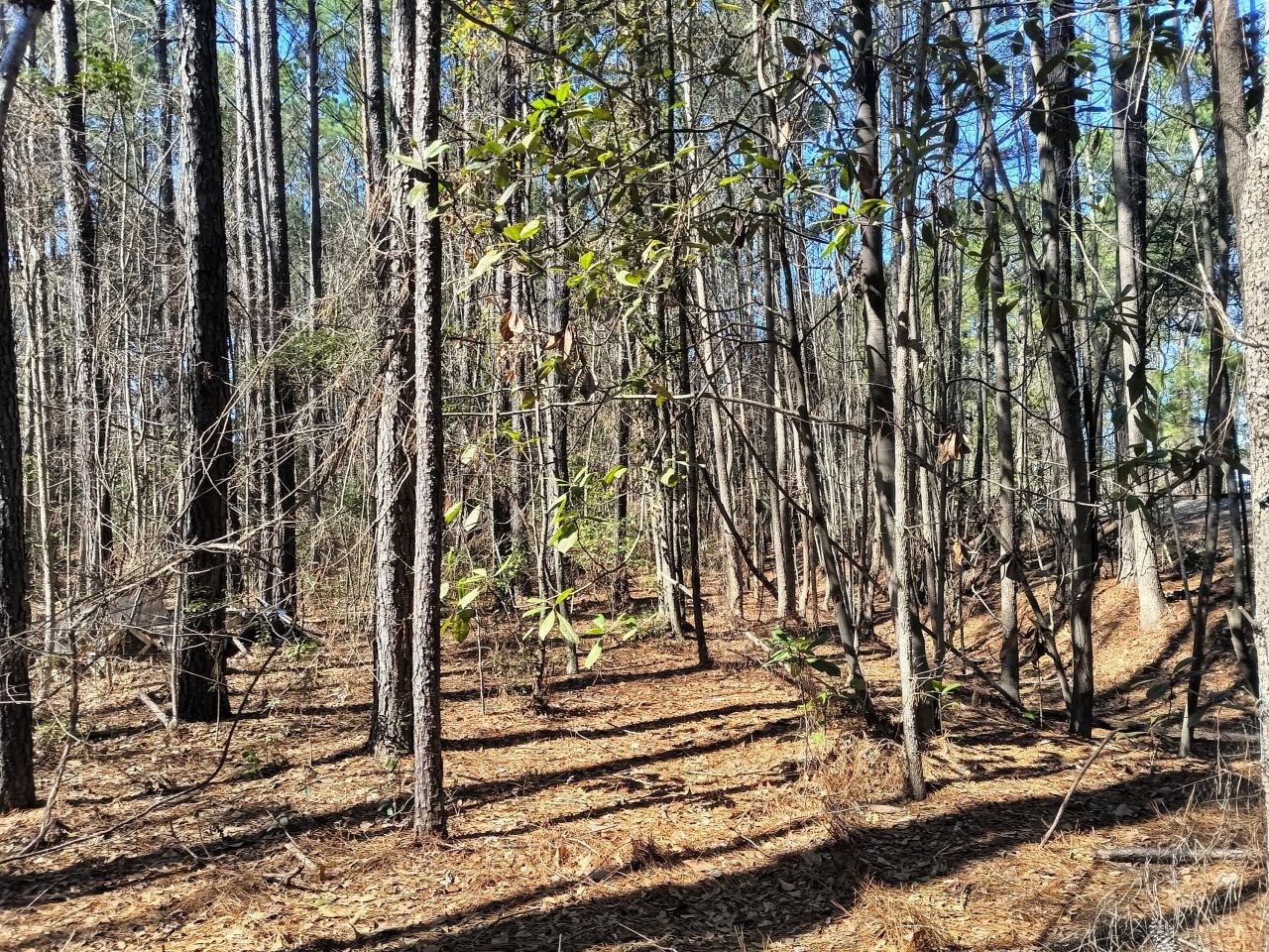 125 Knight Avenue Photo 9