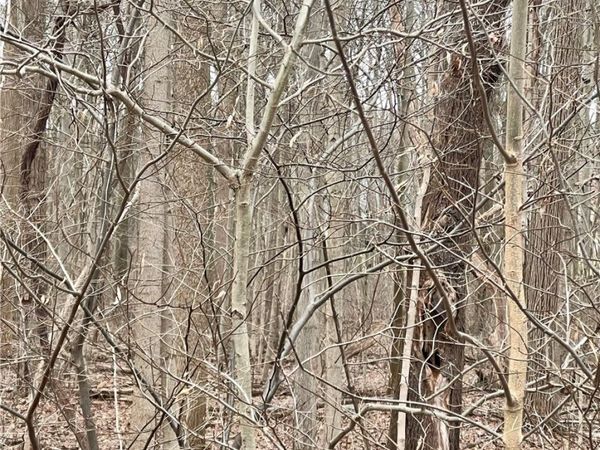 Maple Avenue , Boardman, OH 44512